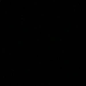 Meet your Posher, Bryneasha